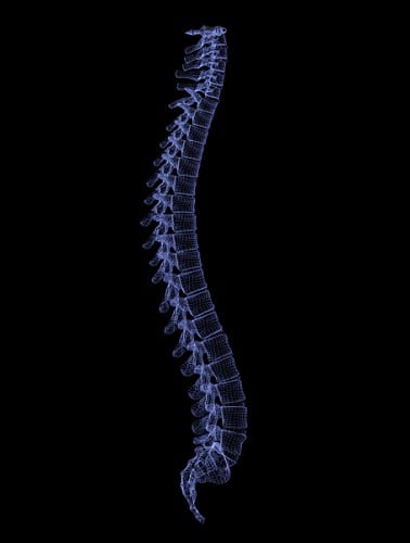 Spinal column injuries in Mobile Alabama