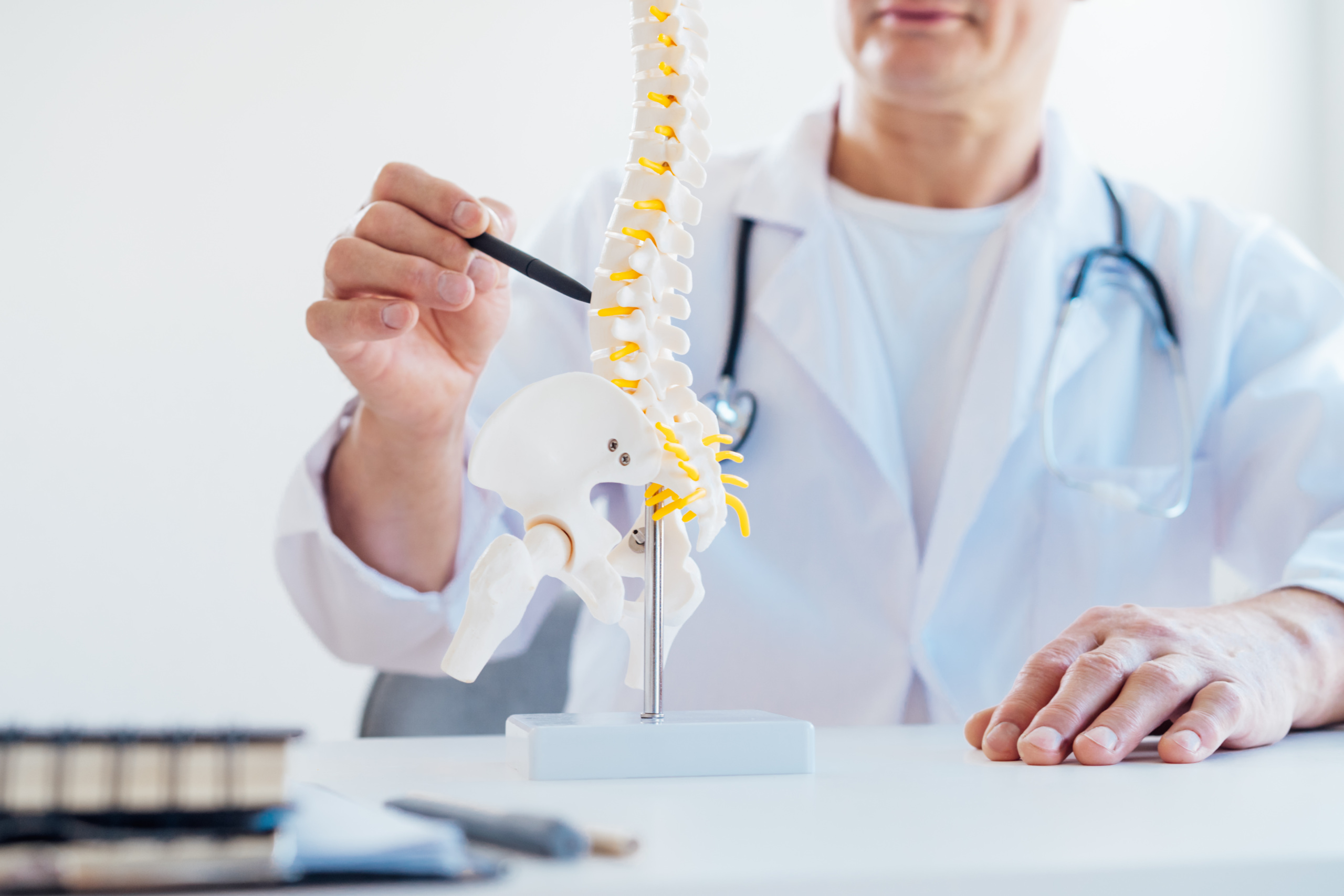 Close-up of a doctor pointing to a model of a human spine with a pen.